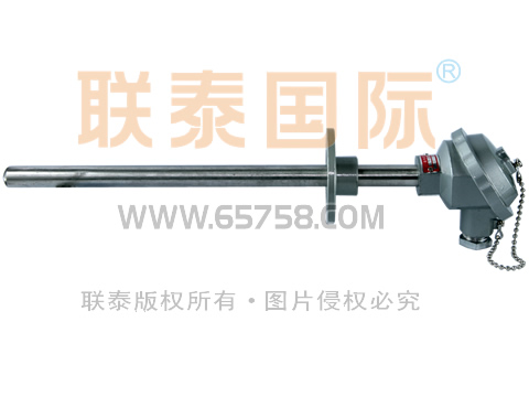 WRE2-330/WRE2-320 装配式双支热电偶 