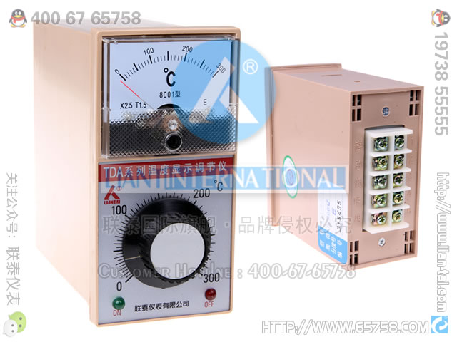 TDA-8002 温度显示调节仪 