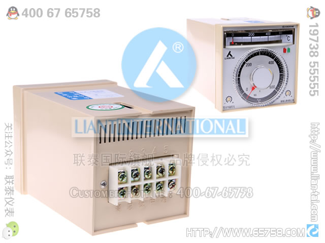 TEA-2301 指针式温控仪 