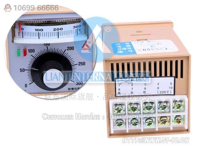 TED-2302 指针式温控仪 