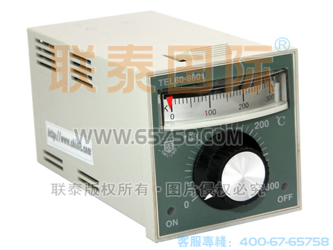 TEL60-8001 温度调节仪（出口型） 