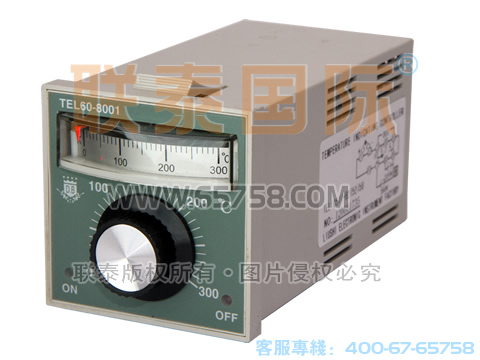 TEL60-8001 温度调节仪（出口型） 