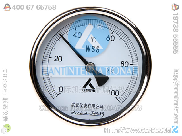 WSS-501 双金属温度计 